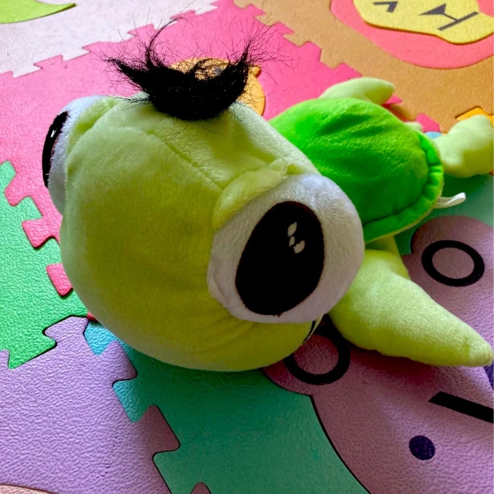 Plush little turtle